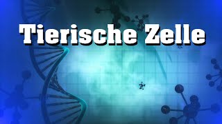 Tierische Zelle  Aufbau und Bestandteile [upl. by Queri]