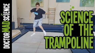 Science Behind a Trampoline  How Trampolines Work [upl. by Emolas472]