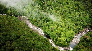 World Heritagelisted Daintree National Park is a TIME CAPSULE [upl. by Aggappe]