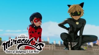 Miraculous Ladybug  ANIMAN  Ladybug and Cat Noir [upl. by Otrebogir867]