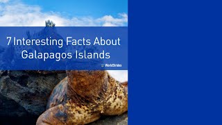 7 Interesting Facts About the Galapagos Islands [upl. by Aneeg]