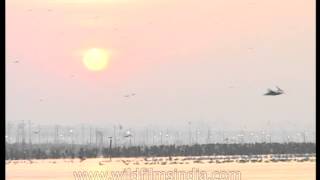 Triveni Sangam  the intersection of Yamuna and Ganges rivers [upl. by Durwyn134]