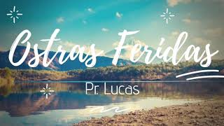 Pr Lucas  OSTRAS FERIDAS  Letra  Lyric [upl. by Roel]