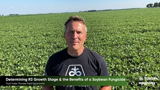 Soybean Fungicide Yield Benefits and Timing [upl. by Nivi576]