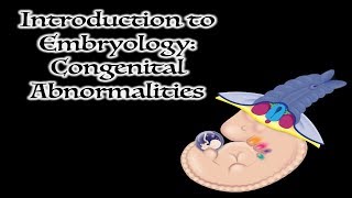 Congenital Abnormalities [upl. by Carina]