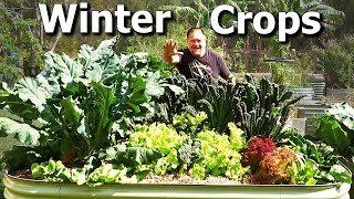 What Vegetable Crops Im Growing and Sowing NOW in WINTER Garden [upl. by Arlee332]