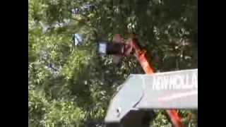 LimbSaw LSC Circular Tree Saw [upl. by Wilson]