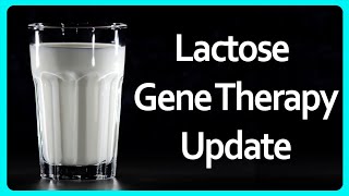 LACTOSE INTOLERANCE  PathophysiologyCausesSigns and symptomsTreatment [upl. by Clerissa]