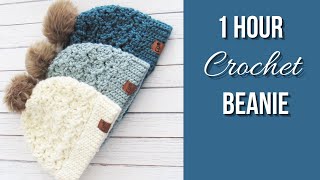 1 Hour Crochet Beanie Easy Pattern [upl. by Lisette]