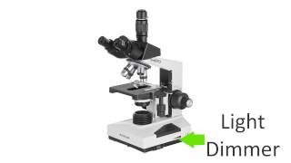 How to Identify Parts on a Compound Microscope [upl. by Robi524]