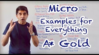 Micro Examples for Literally Everything Pure A Gold [upl. by Hakilam955]