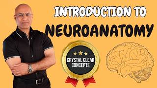 Intro to Neuroanatomy  Neurophysiology  Neuroscience  Central Nervous System [upl. by Tumer]