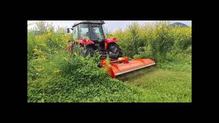 Kubota Mulcher Demo [upl. by Aimekahs983]