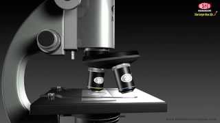 MICROSCOPE WORKING IN ANIMATION [upl. by Ardnayek702]