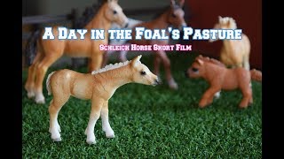 A Day in the Foals Pasture  Schleich Horse Short Film [upl. by Ailec]