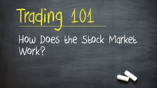 Trading 101 How Does the Stock Market Work [upl. by Filbert]