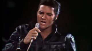 Elvis Presley  Heartbreak Hotel Hound Dog amp All Sook Up 1968 Comeback [upl. by Odlanor87]