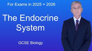 GCSE Biology Revision quotThe Endocrine Systemquot [upl. by Haraf327]