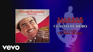 Vicente Fernández  Cuánto Te Debo Cover Audio [upl. by Ahsimin]