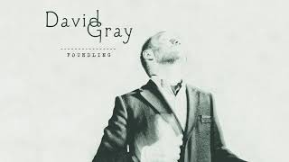 David Gray  A Moment Changes Everything Official Audio [upl. by Lleuqar]