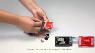 DJI NazaM Main ControllerampTraditional Receiver Connection [upl. by Nasas501]