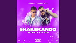 Shakerando Bachata Remix [upl. by Dnomsed355]