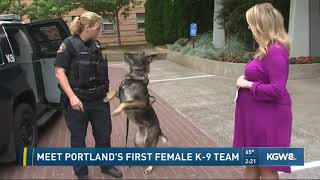 Meet Portlands first female K9 team [upl. by Ahsihat905]