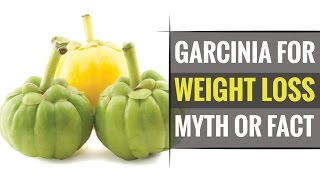 Does Garcinia Cambogia helps in Quick Weight Loss [upl. by Papke]