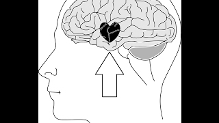 ¿Como desenamorarse de cualquier persona La ciencia del desamor comprobada [upl. by Ainot]