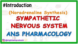 0Sympatethic Nervous System Pharmacology  Noradrenaline synthesis [upl. by Sel]