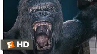 King Kong 49 Movie CLIP  A Violent Encounter 1976 HD [upl. by Duwe560]