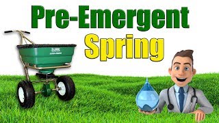 When to Put Down Spring Pre Emergent [upl. by Larson]