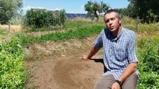 Permaculture Swales Part 1 [upl. by Ariamoy]