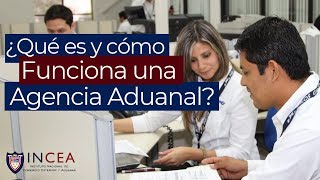 ¿Qué es y Cómo Funciona una Agencia Aduanal [upl. by Auqenahc]