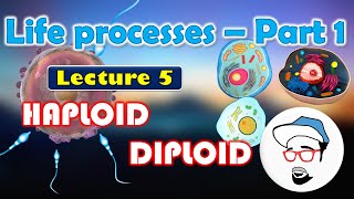 Haploid VS Diploid  Life processes in Living Organisms Part 1 Class 10 SSC CBSE [upl. by Ezar]