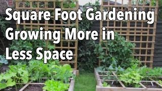 Square Foot Gardening SFG Growing More in Less Space [upl. by Hunsinger768]