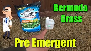 Pre Emergent for Bermuda Grass  Amazing results with preemergent lawns [upl. by Meakem]