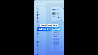 Benefits of Using Adobe XD for Designers [upl. by Konstance107]