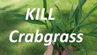 THE CRABGRASS CONTROL VIDEO  Pre and Post Emergent [upl. by Ynoyrb]