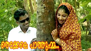 തെക്കേലെ പാത്തുമ്മ  Malayalam Mappila Songs  Malayalam Album Songs 2015 HD [upl. by Hailey]