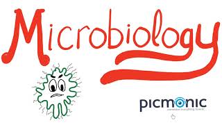 Microbiology Part 1 Introduction  Actinomyces israeli Listeria Diphtheria Nocardia  Picmonic [upl. by Thedric]