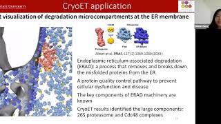 CryoElectron Tomography A Highresolution Technique to Visualize Unique Objects in 3D [upl. by Bierman]