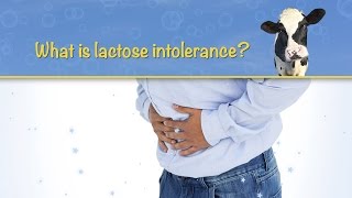 What is lactose intolerance [upl. by Adle895]