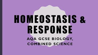 Homeostasis Revision  GCSE BiologyCombined Science [upl. by Etessil]