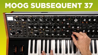 Moog Subsequent 37 Sounds [upl. by Adnuhs]