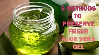 Preserve Aloe Vera Gel At Home [upl. by Baer94]