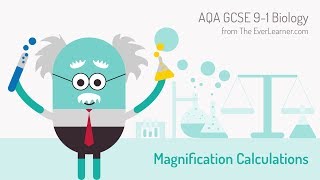 AQA GCSE 91 Biology Magnification Calculations [upl. by Nasho]