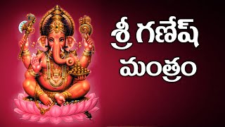 Lord Ganesh Telugu Mantras and Slokas  Lord Ganesh Mantra  SumanTV [upl. by Senilec]