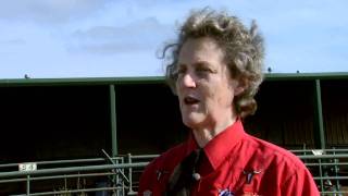 Animal Behavior with Temple Grandin  Part 1 [upl. by Hterag]