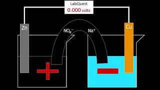 How the salt bridge works [upl. by Marilyn]